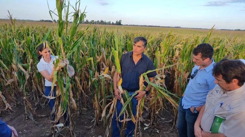 Fertilizar: El objetivo es pensar cómo llegar a una agricultura más eficiente y sostenible en 2040