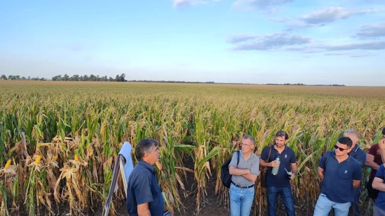 Fertilizar: El objetivo es pensar cómo llegar a una agricultura más eficiente y sostenible en 2040