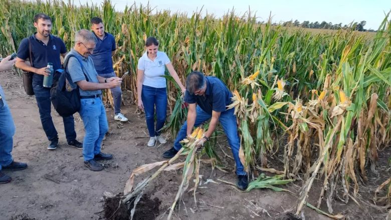 Fertilizar: El objetivo es pensar cómo llegar a una agricultura más eficiente y sostenible en 2040