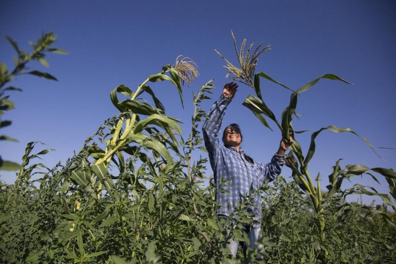 La Mesa Agroalimentaria Argentina se reunirá en Río Cuarto