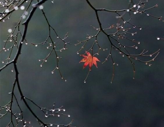 El fin de semana largo estará pasado por agua 