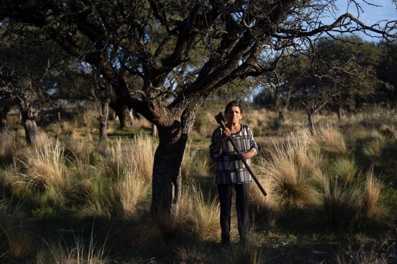 Las hacheras de La Maruja, La Pampa, que dedicaron su vida al monte de caldén