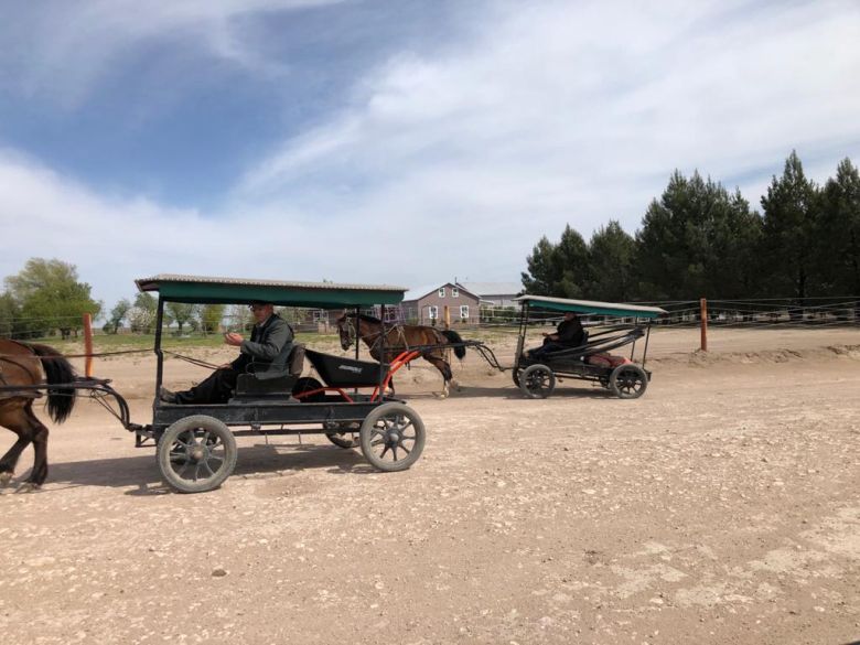 La Colonia Menonita de La Pampa que mantiene sus tradiciones y se caracteriza por una prolijidad absoluta