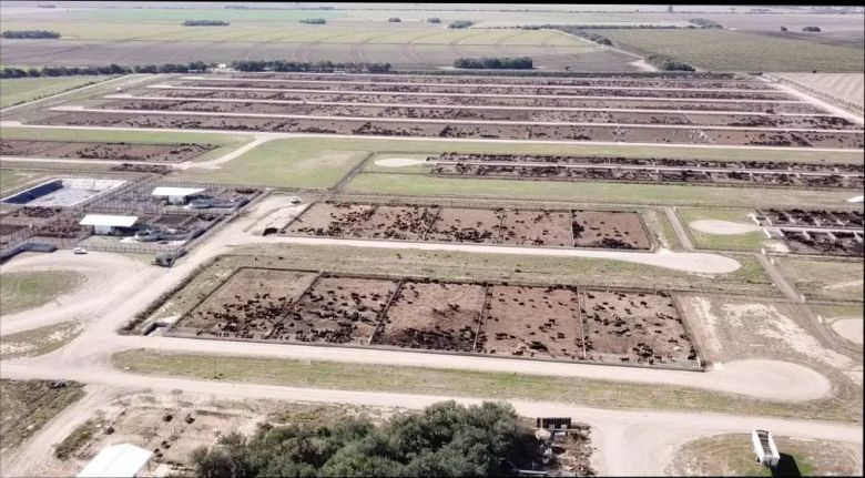 IPCVA llega a Jesús María con una jornada en el Feedlot más moderno de Latinoamérica