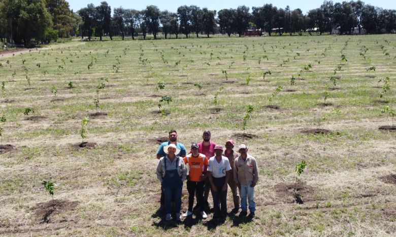 De comprar limones para su casa pasaron a ser los principales productores de cítricos de La Pampa