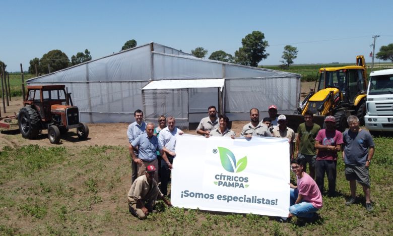 De comprar limones para su casa pasaron a ser los principales productores de cítricos de La Pampa