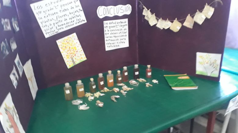 Feria de las Ciencias en el colegio Leopoldo Lugones de Las Delicias