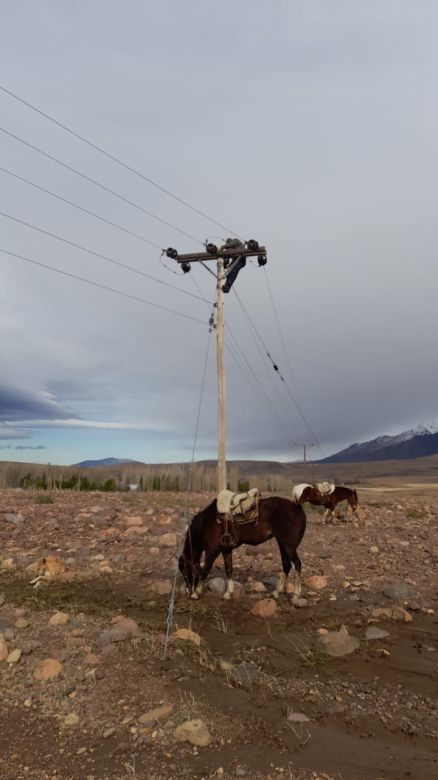 A caballo y con un río desbordado restituyeron la luz a vecinos aislados 