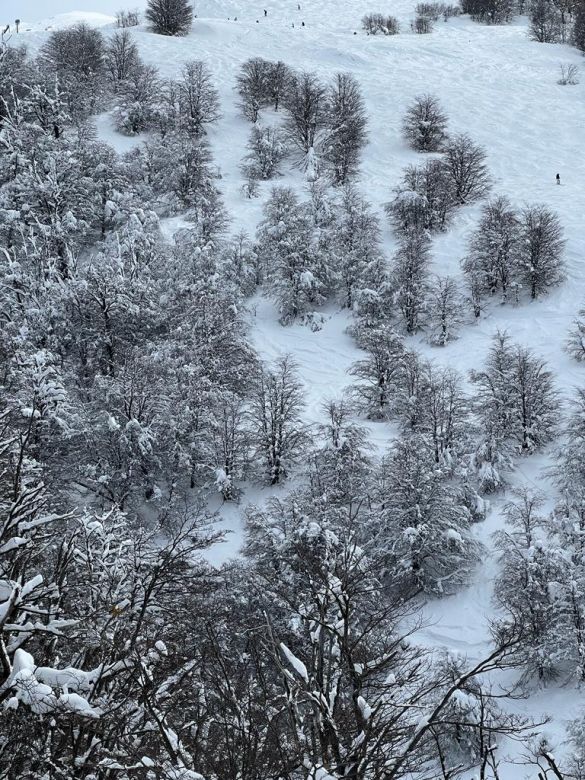 Bariloche 2023: una temporada preparada para el disfrute del turista