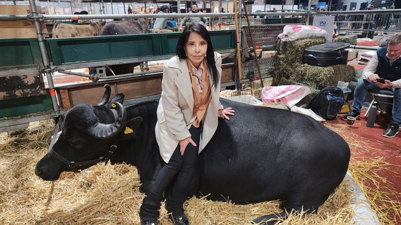 Los bubalinos forman parte de palermo y son una especie mansa para los campos