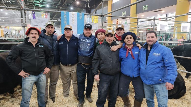 Las hembras Angus se lucieron en Palermo y Los Murmullos se llevó la cucarda campeona