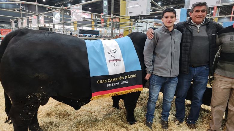 Córdoba se llevó los grandes campeones Brangus