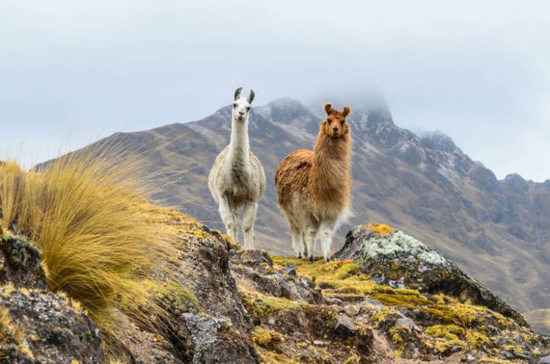 Día de la Pachamama, un homenaje a la Tierra