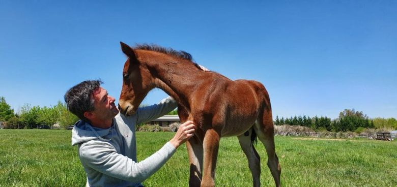 "La clonación es una herramienta biotecnológica que permite optimizar la producción animal"