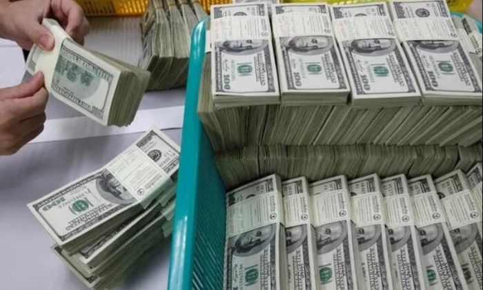 Temor PASO: el dólar ya cotiza en torno a $ 600