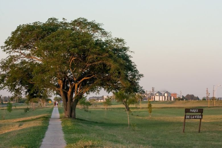 Los partidos deberán donar un árbol por cada pegatina de campaña