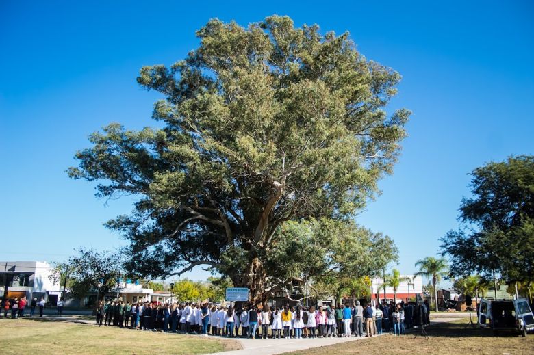 Los partidos deberán donar un árbol por cada pegatina de campaña