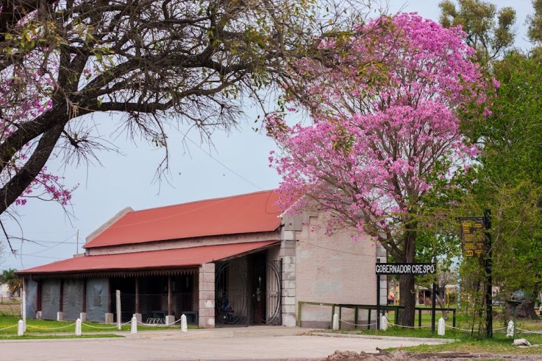 Los partidos deberán donar un árbol por cada pegatina de campaña