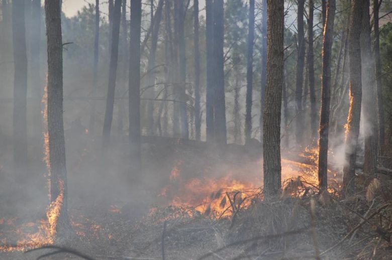 La Provincia envía ayuda para asistir a los damnificados por los incendios