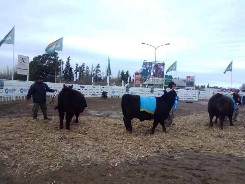 Sábado pintado en la Rural 