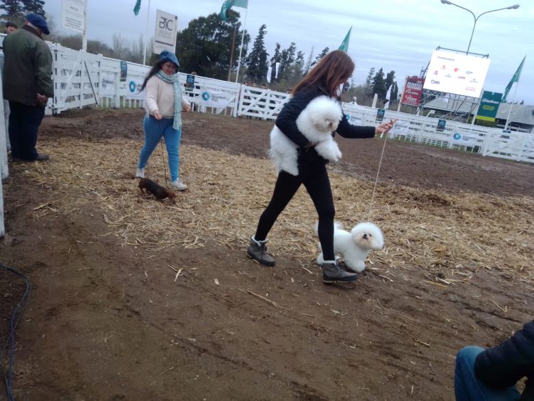 Sábado pintado en la Rural 