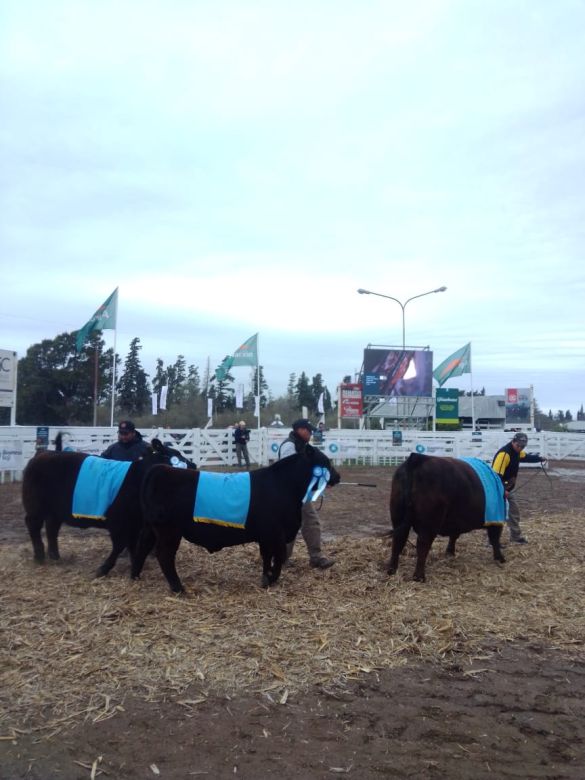 Sábado pintado en la Rural 