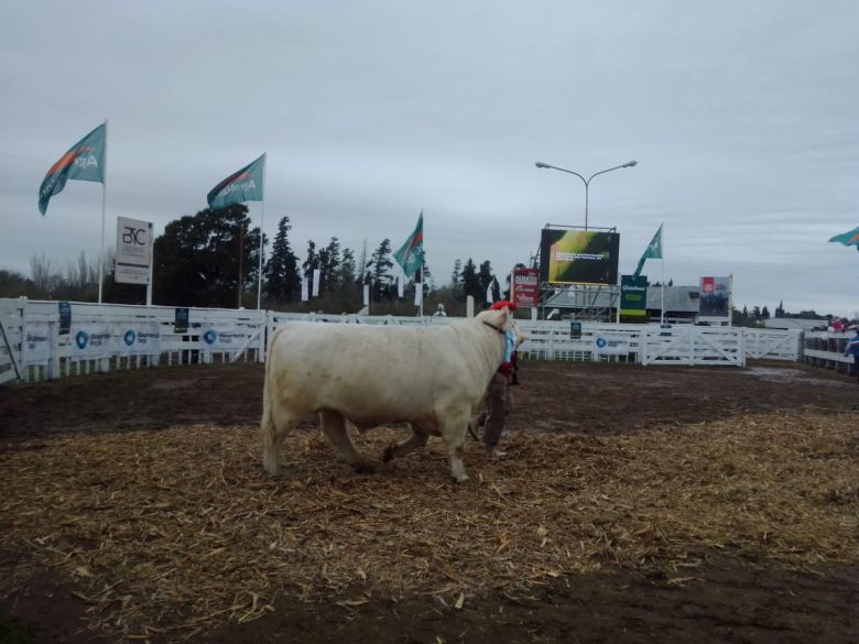 Sábado pintado en la Rural 