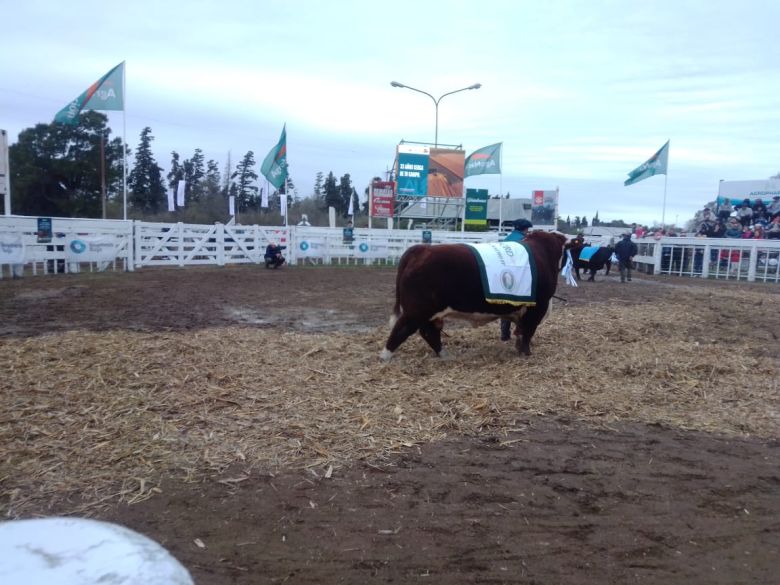 Sábado pintado en la Rural 