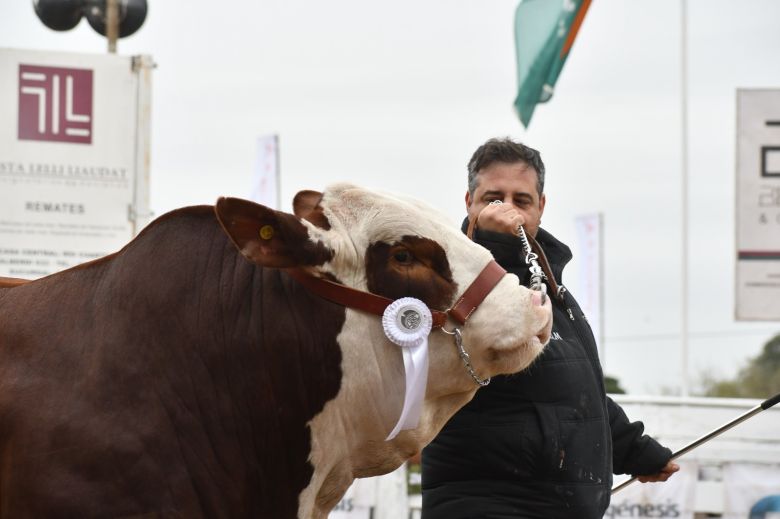 Sábado pintado en la Rural 