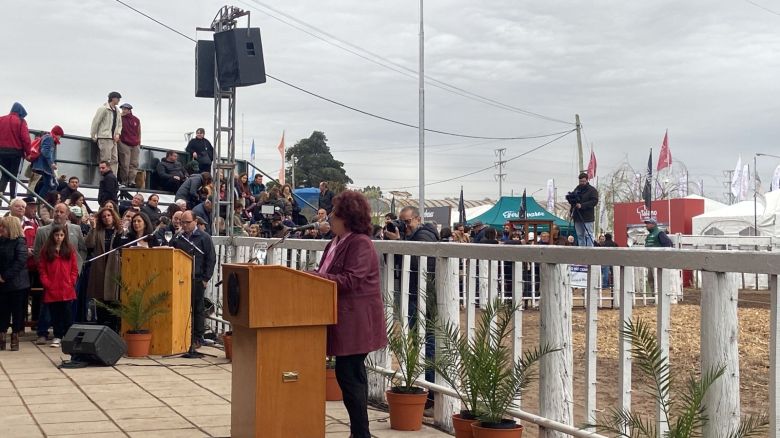 "La democracia está en crisis y no por ajenos"