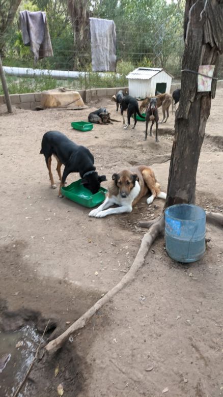 Presupuesto Participativo: piden concretar las mejoras edilicias en el refugio Ojitos que Perdonan