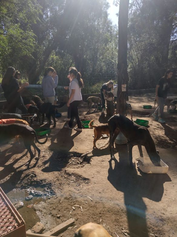 Presupuesto Participativo: piden concretar las mejoras edilicias en el refugio Ojitos que Perdonan