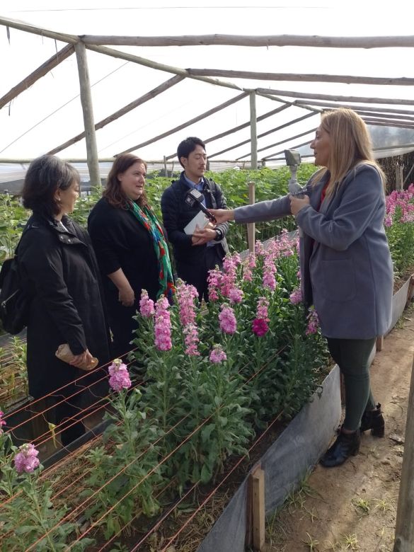 Idearon un proyecto de floricultura que genera desarrollo social y territorial