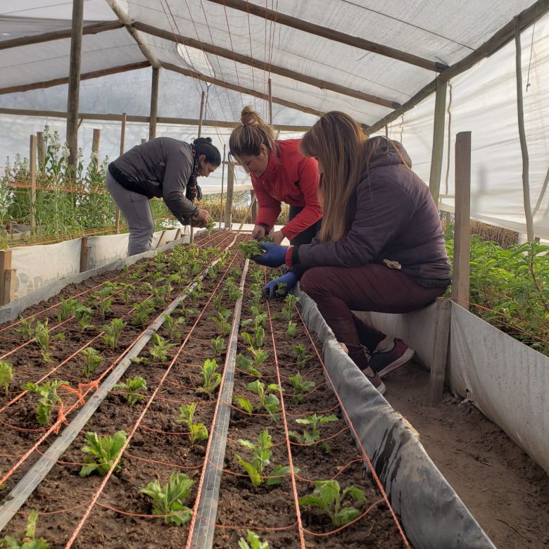 Idearon un proyecto de floricultura que genera desarrollo social y territorial