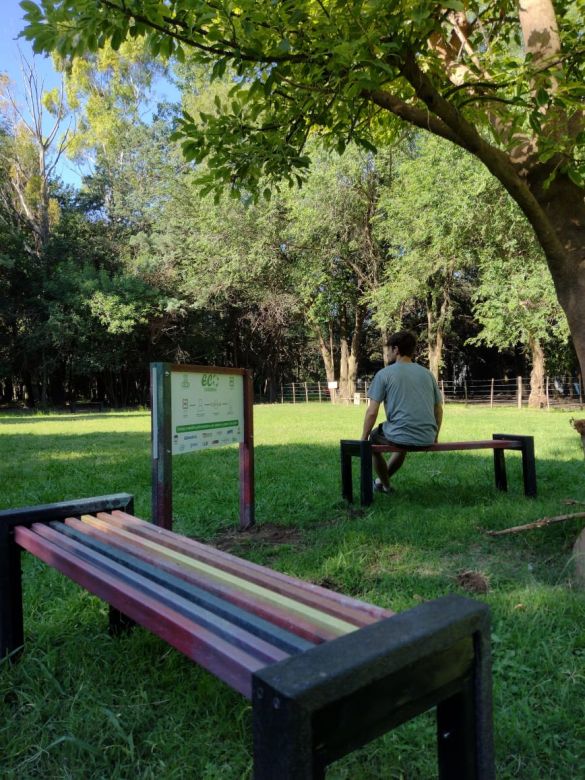 Día de la conciencia ambiental: El proyecto que transforma el plástico en un material apto para la construcción