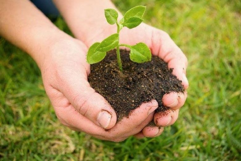 Terceras Jornadas para lograr la inocuidad alimenticia en la SRRC