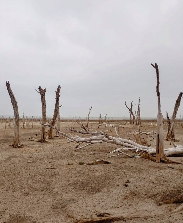 Miramar de Ansenuza, un pueblo pionero en la reconstrucción de historias de vida