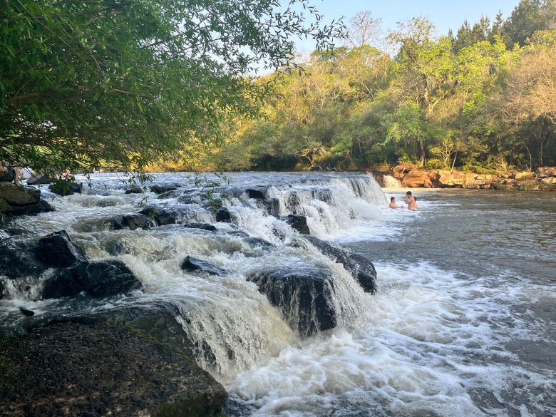 Un pueblito misionero deslumbra con sus lapachos en primavera