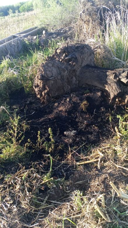 Incendios en el sector de campo La Piedra: intruso huyó tras iniciar un foco ígneo cerca de una vivienda 