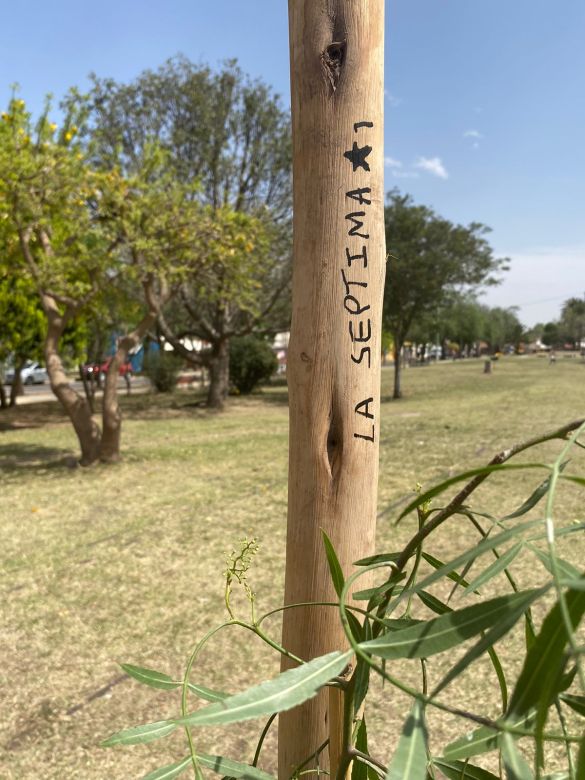 LV16 planta árboles en distintos sectores de la ciudad por los 72 años de la emisora