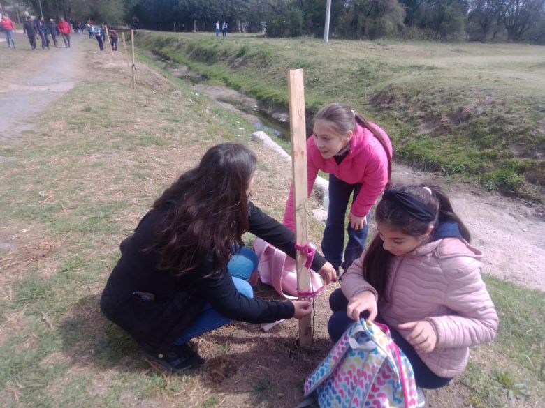 LV16 plantó árboles en distintos sectores de la ciudad por los 72 años de la emisora