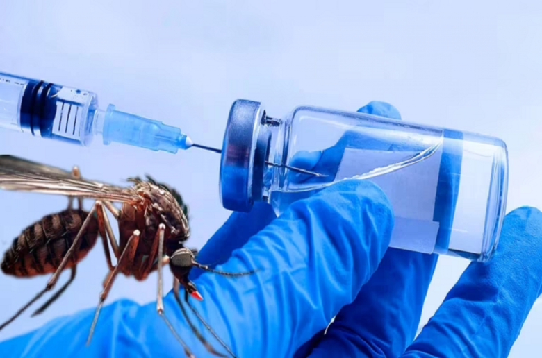 "Es una buena noticia tener una vacuna contra el dengue"