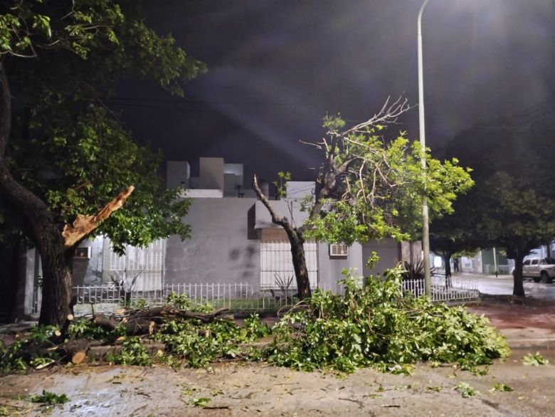 En 40 minutos cayeron 48 milímetros y continúa el alerta amarilla