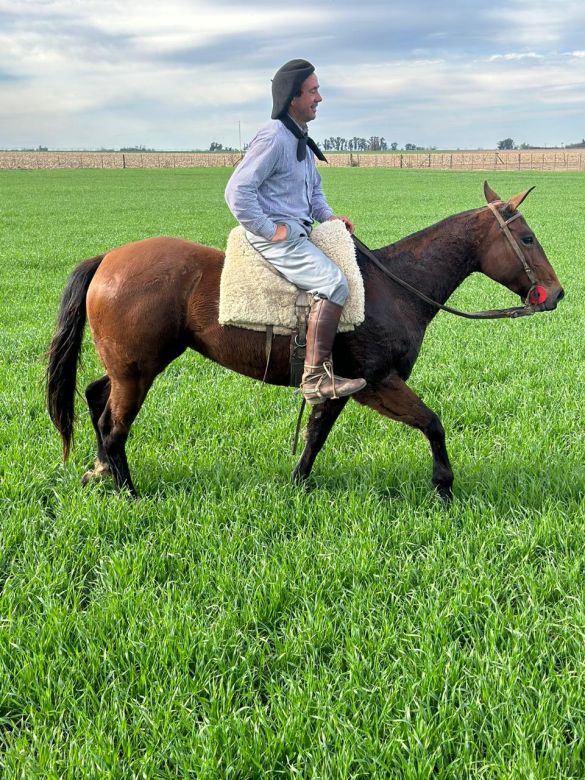 La historia del domador de caballos que no usa rebenques y trata con cariño a los animales