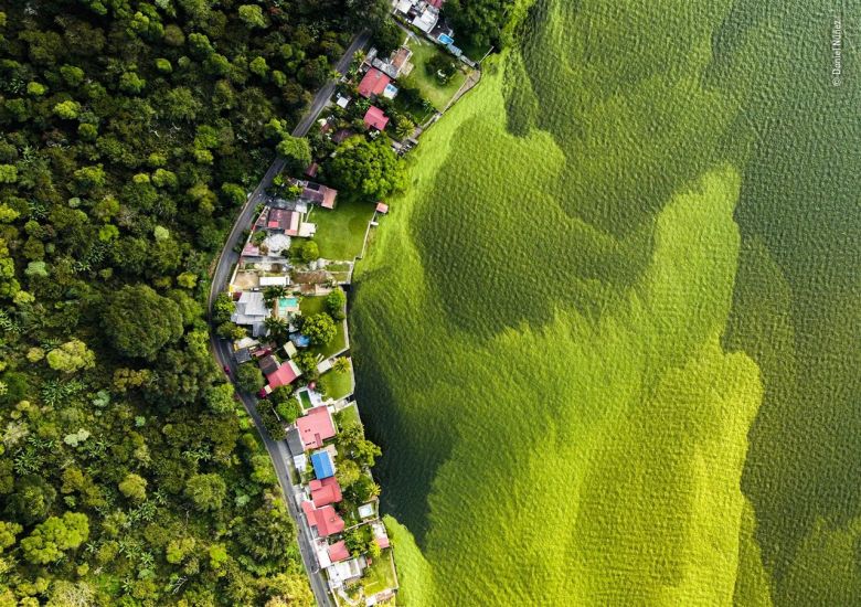 El lago moribundo