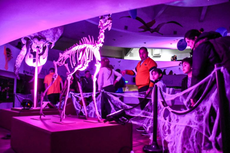 Los museos de Córdoba tuvieron su noche de fiesta