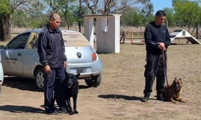 Se realizó la 1° Competencia de Perros de Utilidad y Servicio