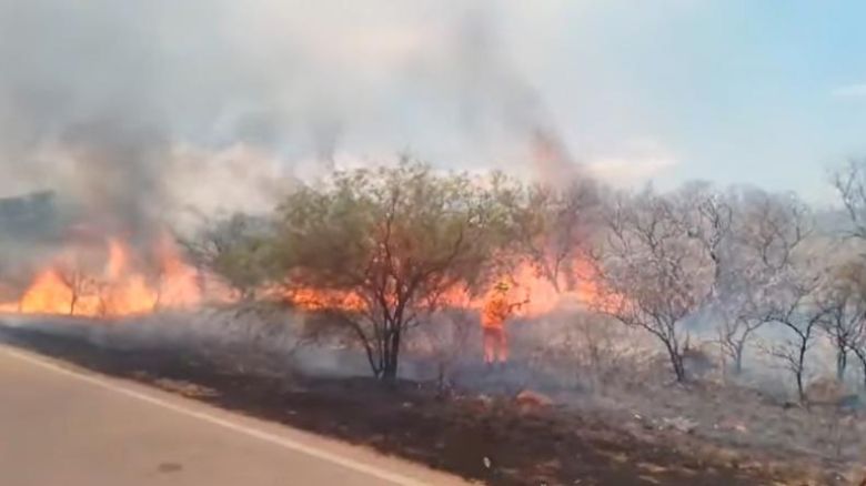 Bomberos combaten un incendio en San Pedro Norte y en San Carlos Minas