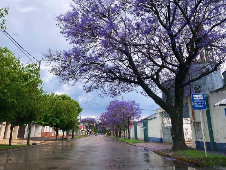 Buen tiempo para este jueves 