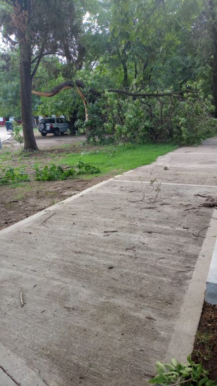 La tormenta que pasó por la ciudad afectó con intensidad a barrio Alberdi